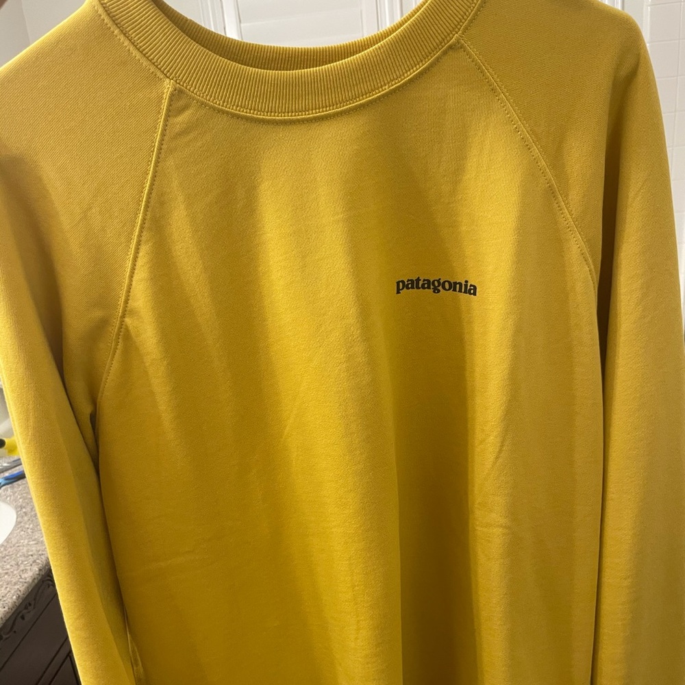 Patagonia crewneck